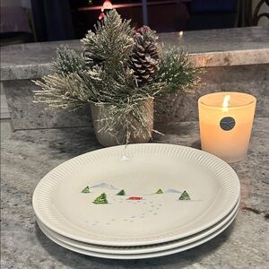 New Lenox Snow Day dinner plates 11 inches wide.